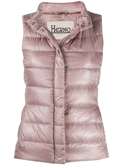 Herno Padded Zip-up Gilet In Pink