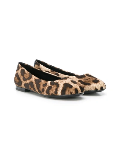 Dolce & Gabbana Teen Leopard Print Ballerina Shoes In Brown