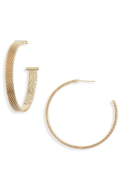 Jennifer Zeuner Josefina Medium Hoop Earrings In Gold Vermeil
