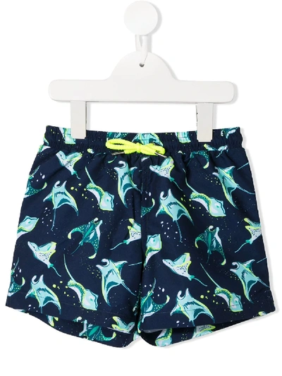 Sunuva Kids' Stingray Swimming Shorts In Blue