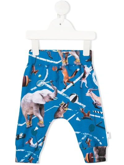 Molo Babies' Sammy Athletic Animals Print Track Trousers In Blue