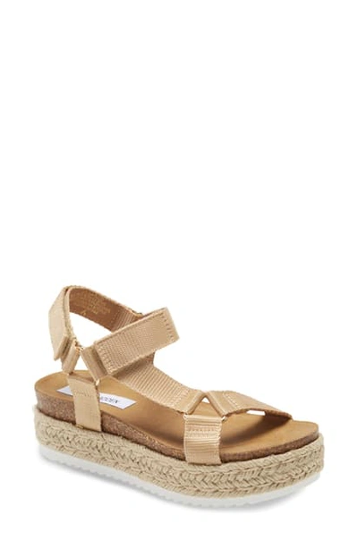 Steve Madden Kaelan Espadrille Platform Sandal In Blush