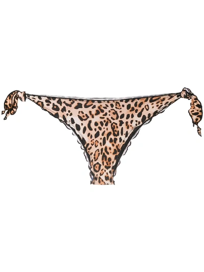 Mc2 Saint Barth Venus Leopard-print Bikini Bottoms In Brown