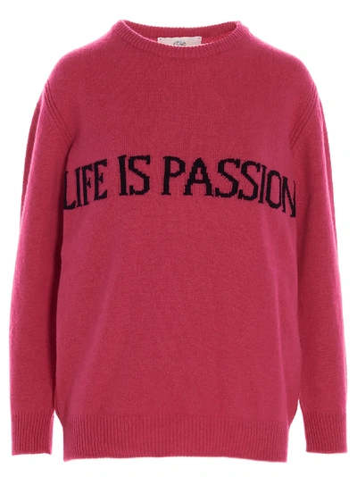 Alberta Ferretti Life Is Passion Sweater In Fuchsia