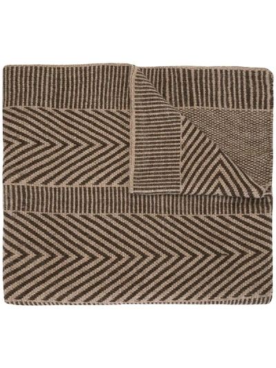 Voz Striped Chevron Shawl Scarf In Brown