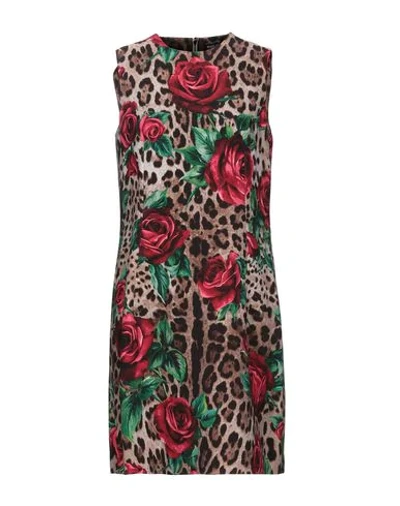 Dolce & Gabbana Short Dresses In Camel