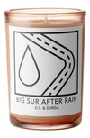 D.S. & DURGA BIG SUR AFTER RAIN SCENTED CANDLE,DC167W/BSAR