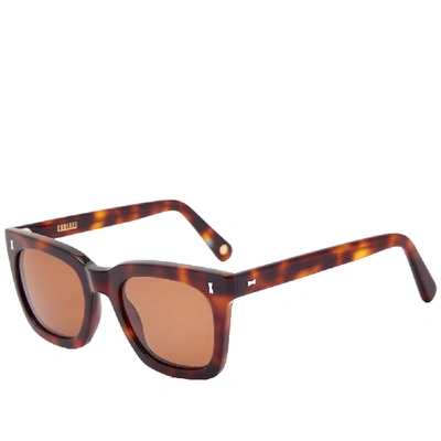 Cubitts Cubitts Judd Sunglasses In Brown