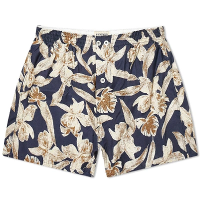 Anonymous Ism Printed Voile Boxer Shorts In Blue