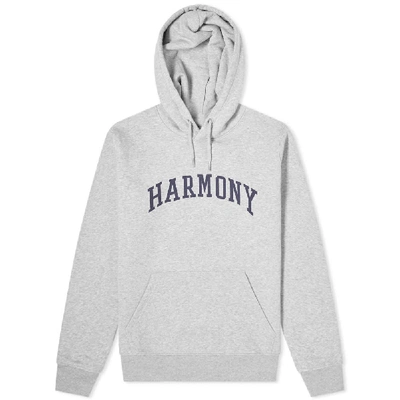 Harmony Curve Logo Popover Hoody In Grey