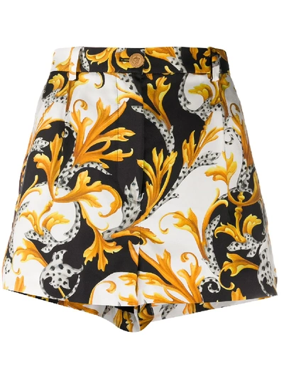 Versace Acanthus Print Shorts In White