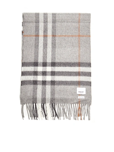 Burberry Scarf In Grey