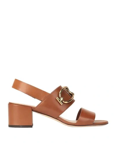 Tod's Sandals In Brown