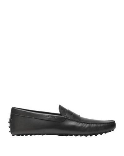 Tod's Loafers In Black