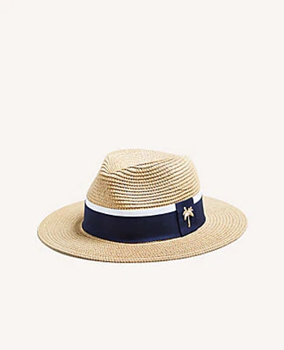 Ann Taylor Palm Tree Fedora In Night Sky