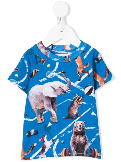 Molo Babies' Athletic Animals Print T-shirt In Blue