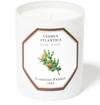 CARRIERE FRERES SCENTED CANDLE CEDAR - CEDRUS ATLANTICA 185 G,CAF33Y68WHT