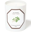 CARRIERE FRERES SCENTED CANDLE AMBER - GLASEUM 185 G,CAF3FK45WHT