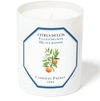 CARRIERE FRERES SCENTED CANDLE ORANGE BLOSSOM - CITRUS DULCIS 185 G,CAFF2N2FWHT