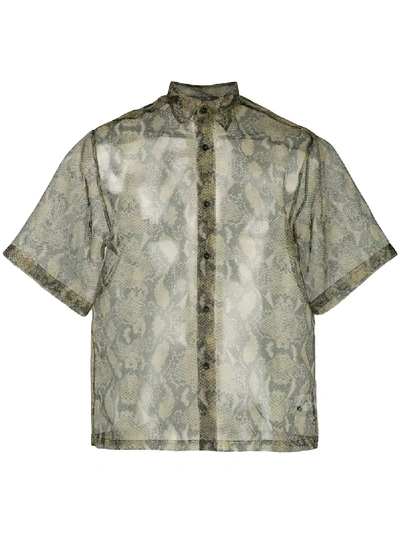 Cmmn Swdn Snakeskin Print Mesh Shirt In Green