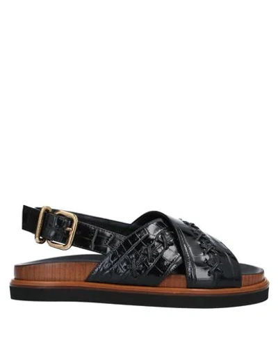 Tod's Sandals In Black