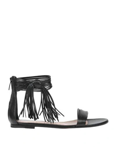 Gianvito Rossi Sandals In Black