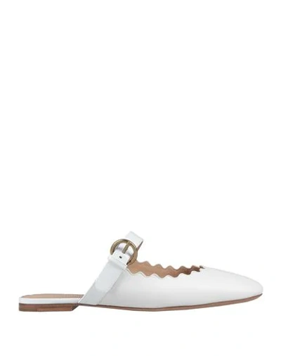 Chloé Mules And Clogs In White