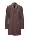 Grey Daniele Alessandrini Coat In Cocoa