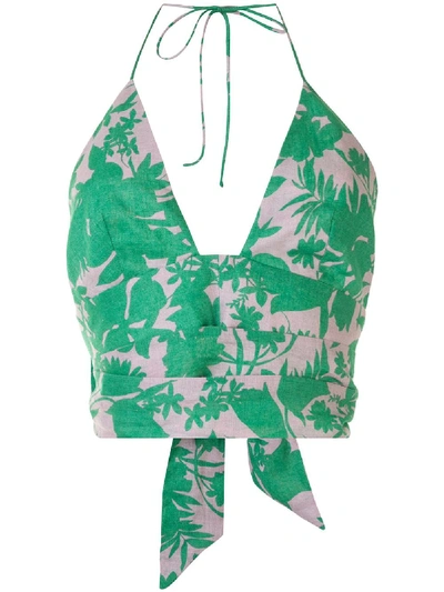 Alexis Gaila Floral Print Top In Green