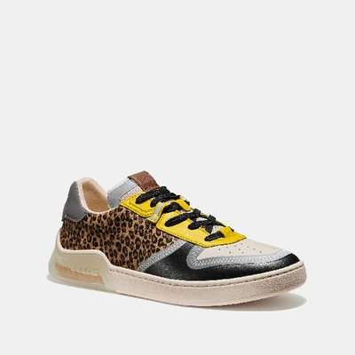 Coach Citysole Court Sneaker In Multi