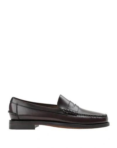 Sebago Flat Shoes In Dark Brown