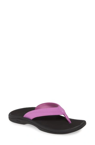 Olukai Ohana Sandal In Iris Orchid/ Black