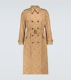GUCCI FIRENZE COTTON TRENCH COAT,P00483062