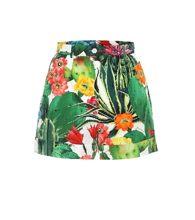 Dolce & Gabbana Printed Cotton-poplin Shorts In Multicoloured