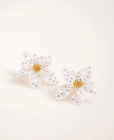 Ann Taylor Pave Floral Statement Earrings In White