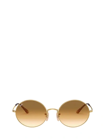 Ray Ban Ray-ban Rb1970 914751 Sunglasses In Arista