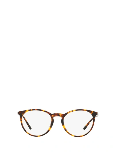Polo Ralph Lauren Ph2193 Shiny Antique Tortoise Glasses In 5249