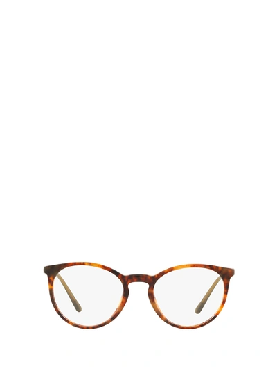 Polo Ralph Lauren Ph2193 5017 Glasses
