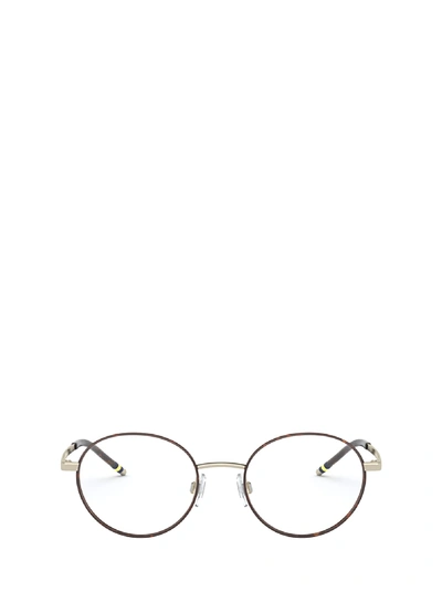 Polo Ralph Lauren Ph1193 Havana On Shiny Pale Gold Glasses