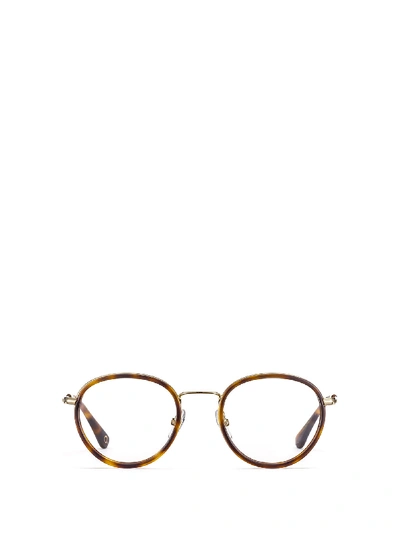 Etnia Barcelona Little Italy Gdhv Glasses