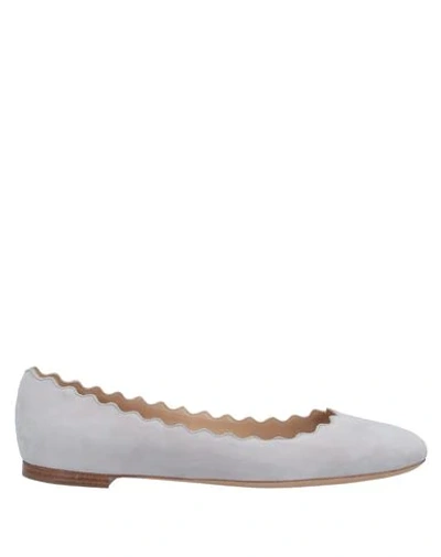 Chloé Ballet Flats In Light Grey