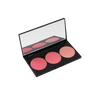 SMASHBOX L.A. LIGHTS BLUSH AND HIGHLIGHT PALETTE