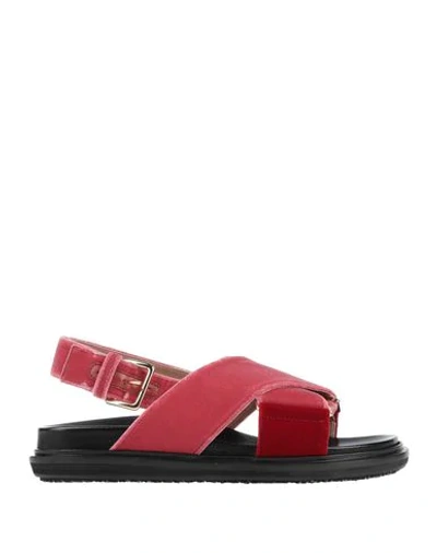 Marni Sandals In Garnet