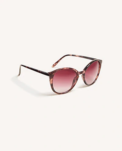 Ann Taylor Pantos Round Sunglasses In Pink Multi