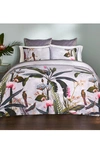 TED BAKER PISTACHIO BORDER COMFORTER & SHAM SET,20367021