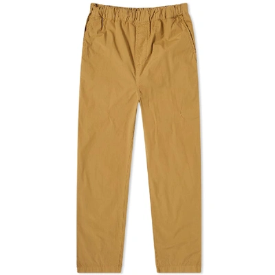 Albam Havana Cotton Trousers In Brown