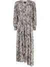 Isabel Marant Zebra-print Long Dress In Neutrals