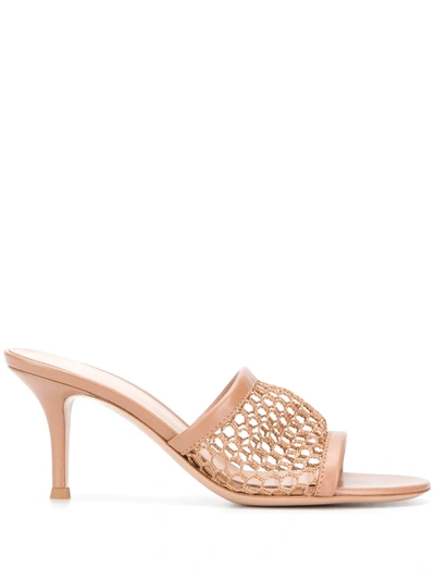 Gianvito Rossi 70 Leather-trimmed Fishnet Mules In Neutral