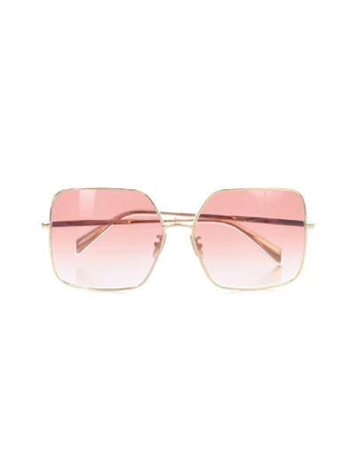 Celine Metal Frame 09 In Pink