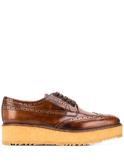 Prada Flatform Leather Brogues In Brown